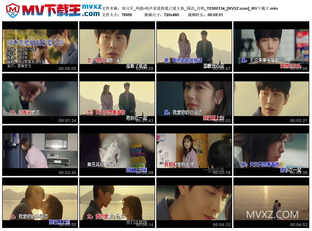 刘习军_玛韵-叫声亲爱的我已爱上你_国语_合唱_YE500134